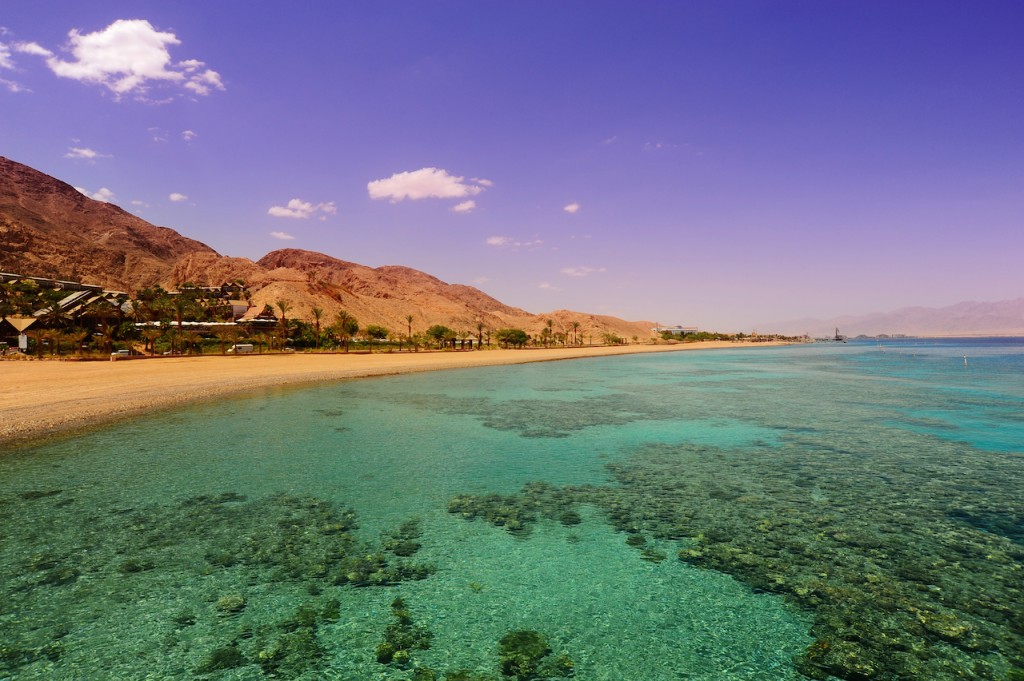 Coastline-Of-Red-Sea-Coral-Reef